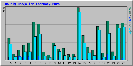 Hourly usage for February 2025
