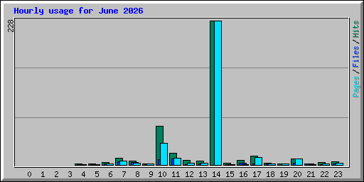 Hourly usage for June 2026