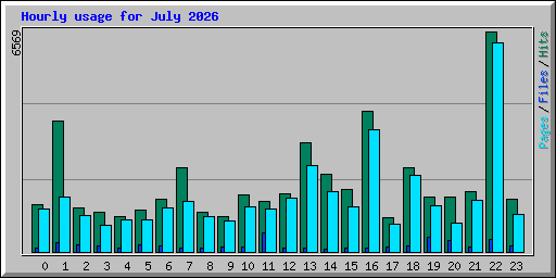 Hourly usage for July 2026