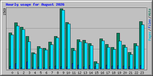 Hourly usage for August 2026